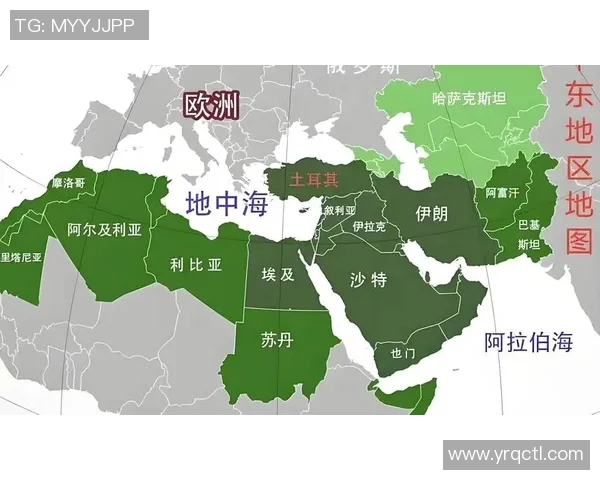 中东地区崛起为全球经济增长新引擎推动年度发展新格局